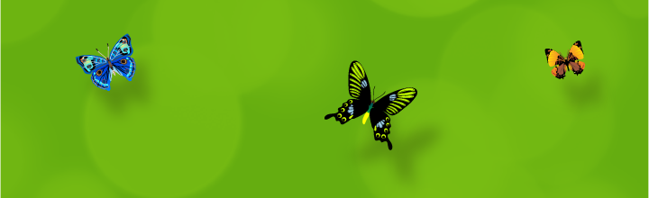 Header Mobile