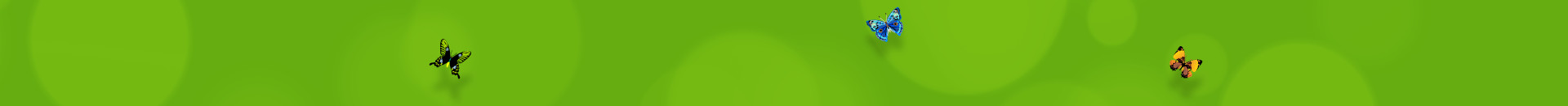 Default Banner