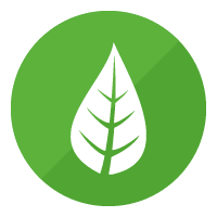 Renewable Energy